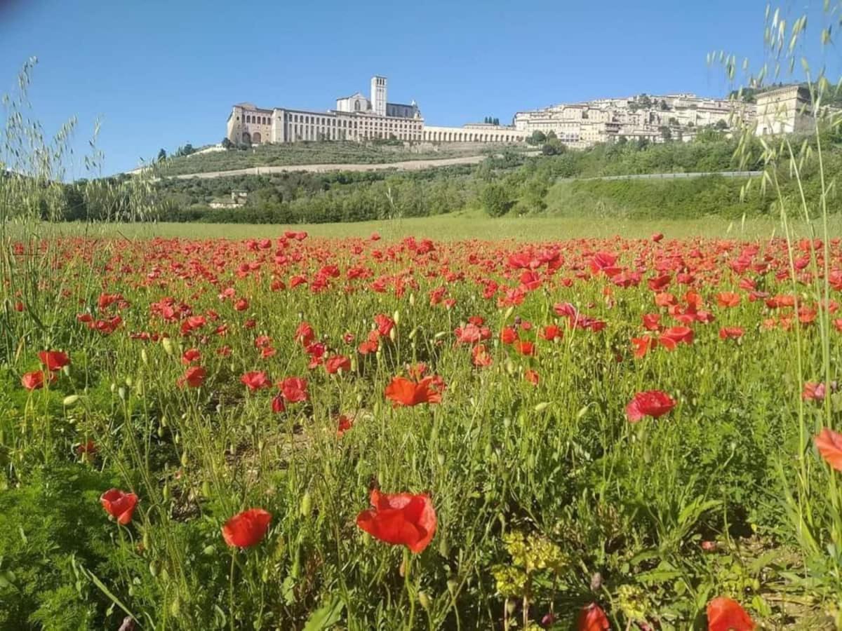 Casetta Delle Rose Assisi Exterior photo